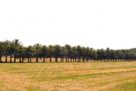 Amics de la Terra lamenta que el Consell «hagi perdut l'ocasió» de comprar Can Trujillo