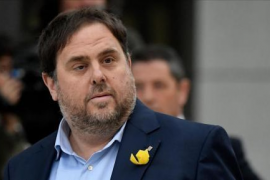 Junqueras, triat com a vicepresident primer dels Verds/ALE a l'Eurocambra