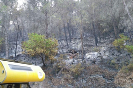Els habitatges propers a la zona del foc van haver de ser desallotjats.