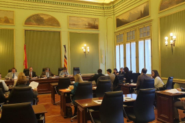 Castells: «És lamentable que el Govern no consideri urgent donar explicacions sobre l'avió ambulància»