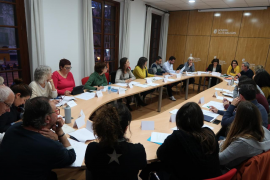 El Consell de Cooperació aprova el Pla Director de Cooperació Balear 2020-2023