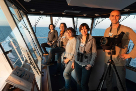 GOB i Baleària impulsen la investigació científica de cetacis i aus marines