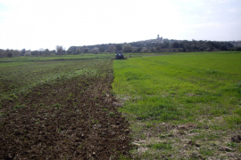 El FOGAIBA ha executat aquesta setmana el pagament de 5.327.993,47 euros de sis ajudes del Programa de Desenvolupament Rural.