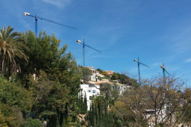 Terraferida proposa a l’Ajuntament de Palma desclassificar 440 hectàrees de sòl urbanitzable