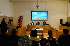 L'entrada de vehicles a Formentera tornarà a estar limitada entre el juliol i l'agost