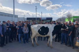 Imatge de la concentració de pagesos realitzada aquest dissabte a Campos.