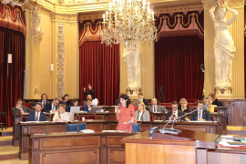 El Govern ja té a punt el «primer esborrany» per a crear la Policia de les Balears