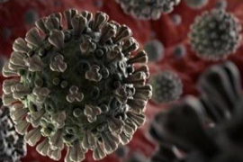 El nin ingressat a l'Hospital Son Espases dóna negatiu en coronavirus