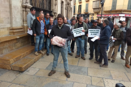 Pagesos entreguen una porcella a Hila per protestar contra el tancament de l'escorxador