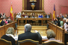 El ple del Consell aprova crear nous òrgans en l'Observatori del Paisatge de Mallorca