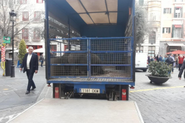 El PI demana al Govern i a Cort que garanteixin la continuïtat de l'escorxador de Palma