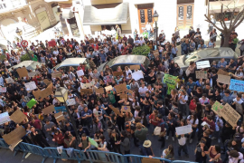 Docents pel Futur creu que la Llei d'Educació no està a l'altura dels reptes de l'emergència ambiental