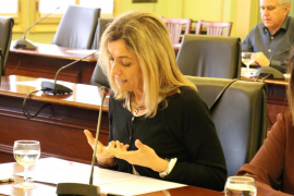 El Parlament reclama a l'Estat una partida anual per a la modernització de les zones turístiques de les Balears