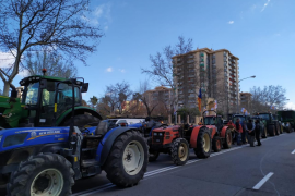 La tractorada ha recorregut els principals carrers de Palma.