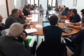 Les carreteres de Mallorca varen registrar un 3,5% més de cotxes diàriament el 2019