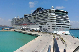 La Plataforma contra els megacreurers «preocupada» pel desembarcament de creueristes d'Itàlia