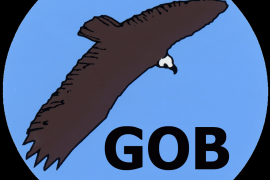 El GOB valora positivament la proposta del bus llançadora