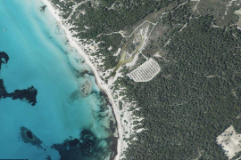 El GOB demana l'eliminació de l'aparcament de Na Tirapel del Parc Natural d’Es Trenc-Salobrar