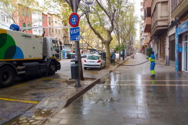 Emaya neteja diverses zones de Palma amb material desinfectant