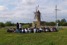 El Consell publica jocs i vídeos d'educació ambiental durant el confinament