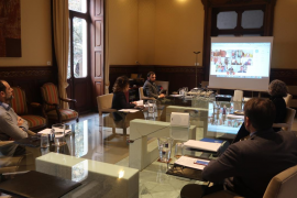 Les Balears reclamen finançament i liquiditat al Govern espanyol per a reforçar la resposta a la crisi