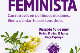 Feministes en Acció convoca una concentració reivindicativa