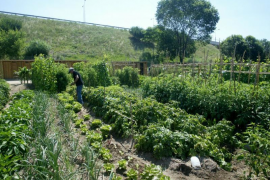 Demanen que es permeti l'accés als horts d'autoconsum durant la crisi de la Covid-19
