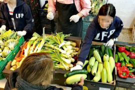 Mallorca Sense Fam ha atès 1.328 famílies durant el primer trimestre de 2020