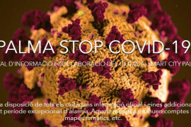 Cort llança una web sobre la covid-19, iniciatives ciutadanes, mapes de comerços oberts i e-commerce