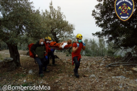 Els bombers rescaten al pagès ferit