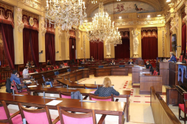 El Parlament rebutja la proposta d'El Pi de rebaixar un 30 per cent el sou dels diputats