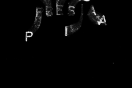 El XXII Festival de Poesia de la Mediterrània comença per Internet amb 19 càpsules audiovisuals