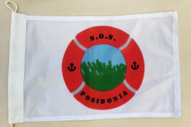 El GOB demana als navegants recreatius el seu compromís amb la conservació de la posidònia