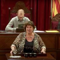 El PSIB defensa que les empreses que cometin frau fiscal no puguin rebre ajudes arran de la Covid-19