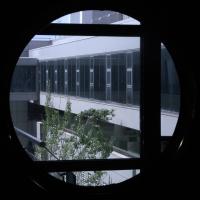 IB3 emet 'La quarantena', 23 històries de confinament dos mesos després de decretar-se l’estat d’alarma