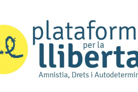 La Plataforma per la Llibertat expressa «preocupació i rebuig» pels casos d'abusos policials durant l'estat d'alarma