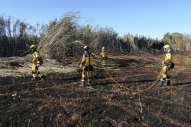 Un incendi en el Torrent del Pont d'en Blai crema 0,2 hectàrees de canyís