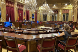 El Parlament insta el Govern a impulsar una llei per al Consell de la Joventut