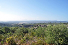 El GOB felicita Cort per la desclassificació de 60 hectàrees de Son Gual