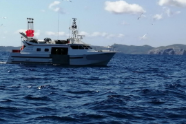 Denuncien un palangrer que pescava en aigües interiors de les Balears prop del Parc Nacional de Cabrera