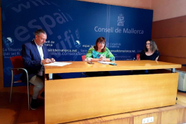 Política Lingüística crea la categoria de literatura infantil als Premis Mallorca 2020