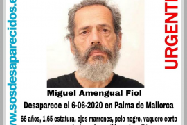 Cerquen un home desaparegut a Palma des de dissabte passat