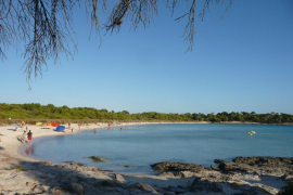 El PP demana al Consell de Menorca que retiri «urgentment» la posidònia de les platges