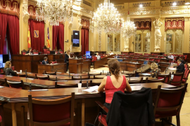 MÉS per Menorca diu que es vulnera el dret dels diputats en impedir la participació telemàtica en comissions