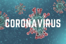 El Consell de la Joventut rebutja la culpabilització dels joves d'un possible rebrot de covid-19