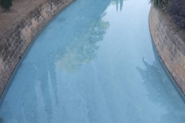 El GOB demana un full de ruta per a la renaturalització dels torrents de Palma