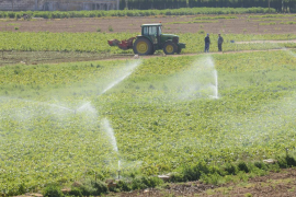 Cooperatives Agroalimentàries presenta al·legacions al decret de zones vulnerables per contaminació de nitrats