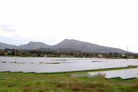 ARCA rebutja «l'expansió fotovoltaica» que ocupa espais agraris i rurals