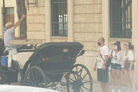 Exigeixen un decret urgent perquè els cavalls de les galeres no surtin al carrer durant qualsevol alerta meteorològica