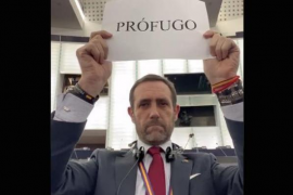 Bauzá ha ocultat al Parlament Europeu que és soci de l'empresa Gas2Move